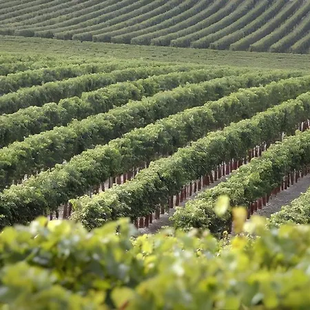 Frühstückspension Chez Bilhouet 3*