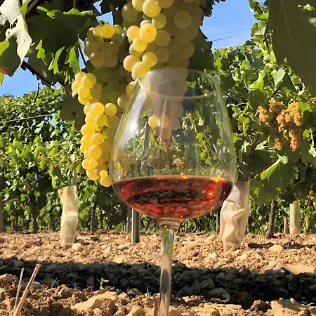 Chez Bilhouet Frühstückspension